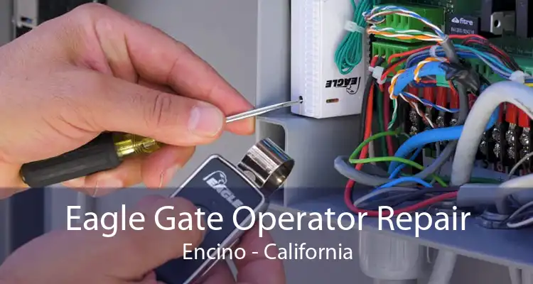 Eagle Gate Operator Repair Encino - California