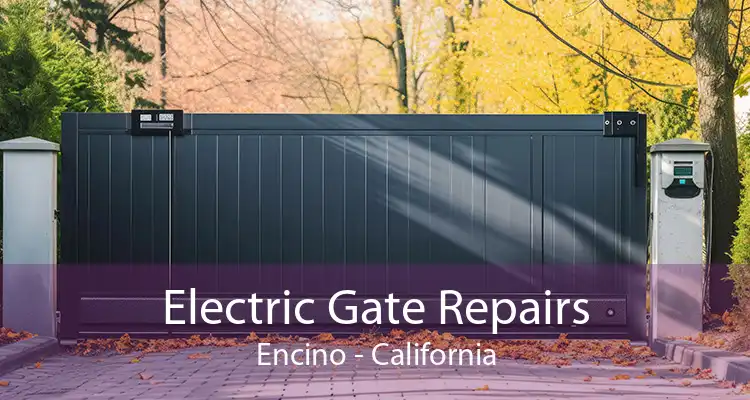 Electric Gate Repairs Encino - California