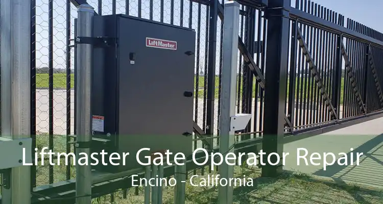 Liftmaster Gate Operator Repair Encino - California
