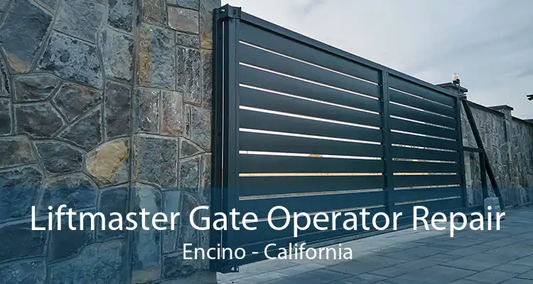 Liftmaster Gate Operator Repair Encino - California