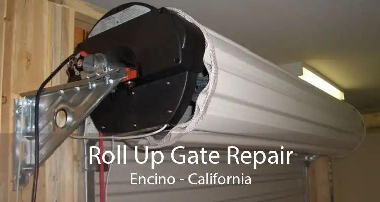 Roll Up Gate Repair Encino - California