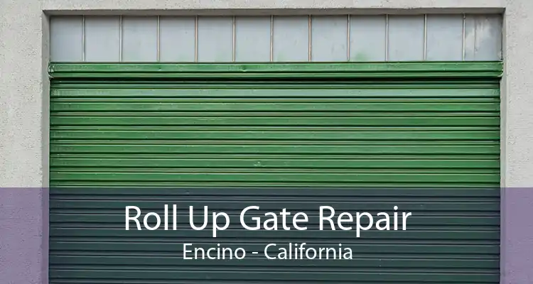 Roll Up Gate Repair Encino - California